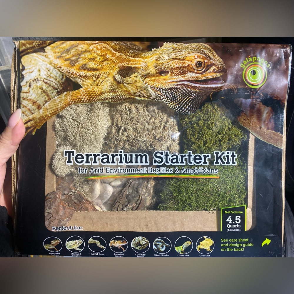 Reptile and amphibian Terrarium starter kit